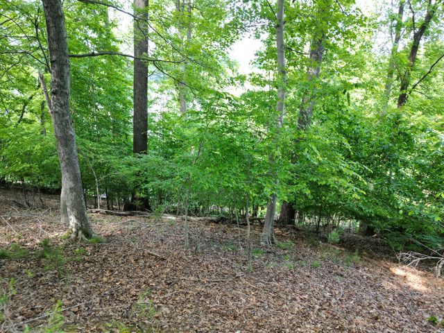 00 IVY LN, Union Hall, VA 24176
