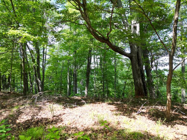 00 IVY LN, Union Hall, VA 24176