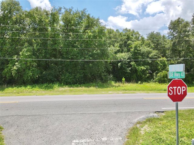 SE HWY 42, Weirsdale, FL 32195