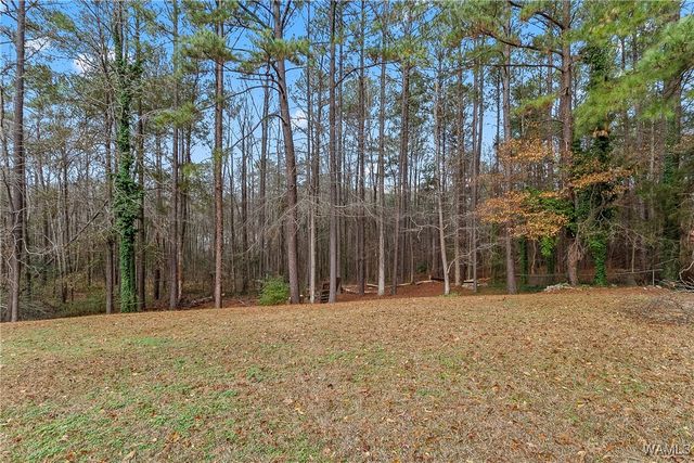 12693 Hickory, Northport, AL 35475