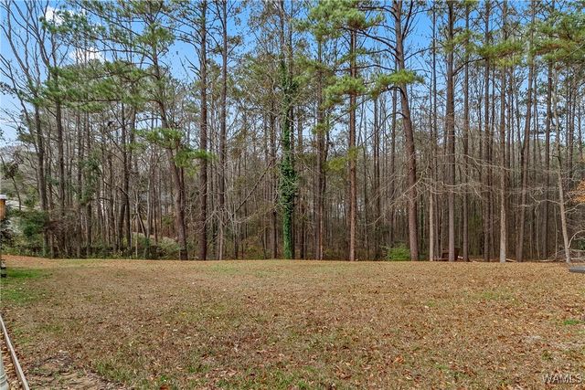 12693 Hickory, Northport, AL 35475