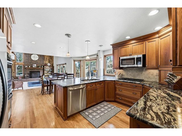 8915 Mad River Rd, Parker, CO 80134