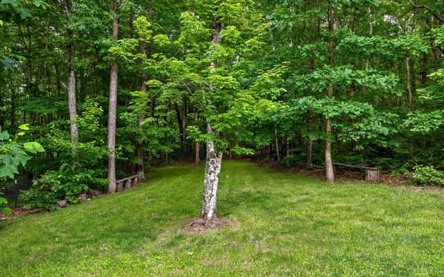 266 Beaten Path Road E, Signal Mountain, TN 37377