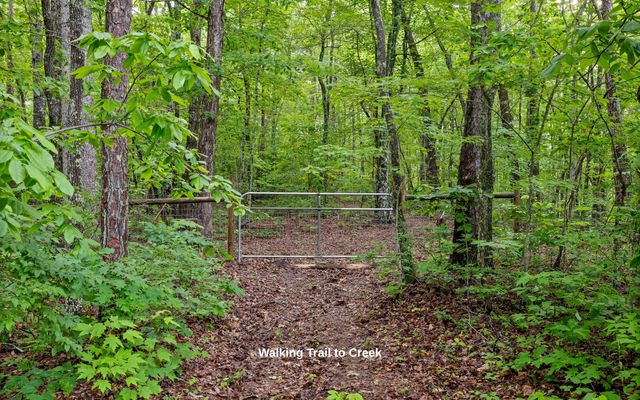 266 Beaten Path Road E, Signal Mountain, TN 37377