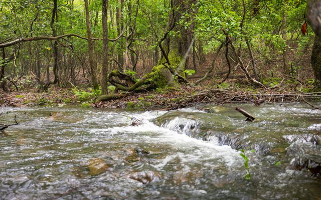 266 Beaten Path Road E, Signal Mountain, TN 37377