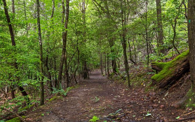 266 Beaten Path Road E, Signal Mountain, TN 37377