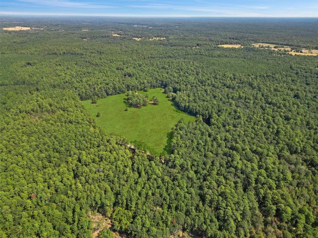00 Forest Service Road 201, Cleveland, TX 77328