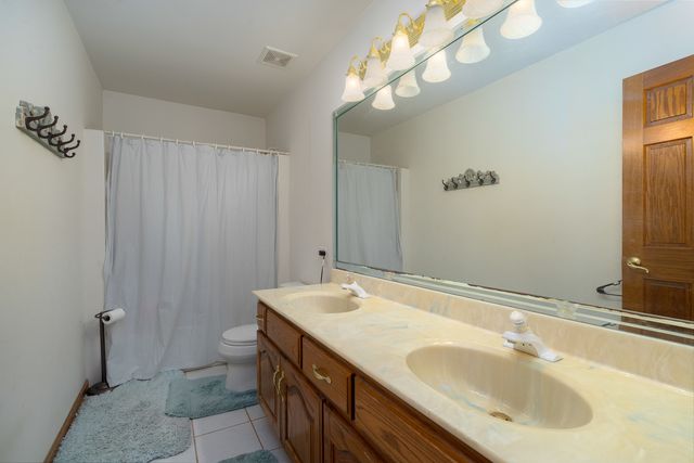 23810 S Saddle Creek Drive, Manhattan, IL 60442