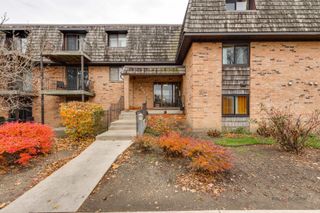 7 Oak Creek Drive 3703, Buffalo Grove, IL 60089