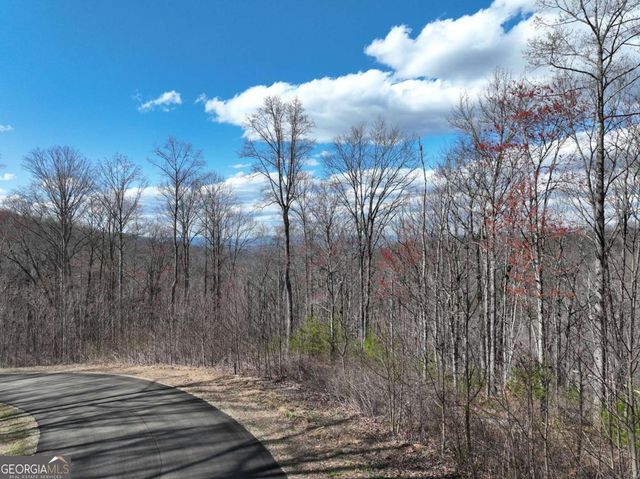 270R Stone Cliff Drive, Ellijay, GA 30536