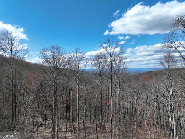 270R Stone Cliff Drive, Ellijay, GA 30536