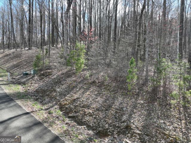 270R Stone Cliff Drive, Ellijay, GA 30536