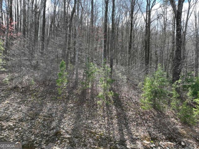 270R Stone Cliff Drive, Ellijay, GA 30536