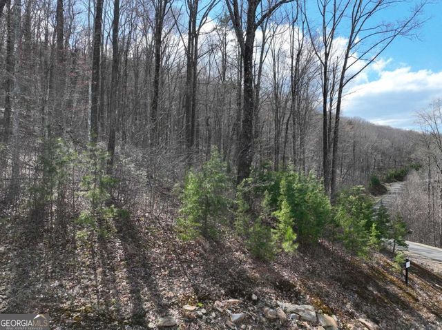 270R Stone Cliff Drive, Ellijay, GA 30536