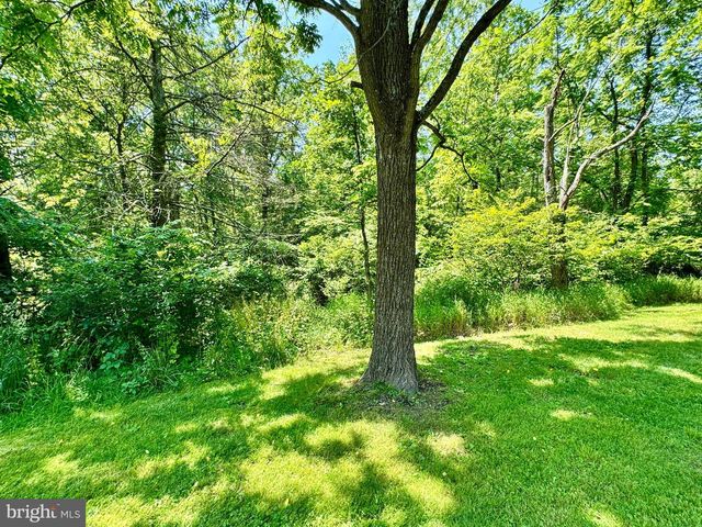 13709 FIR TREE LN, Cresaptown, MD 21502