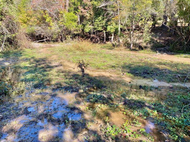 485 Private Road 6142, Grapeland, TX 75844