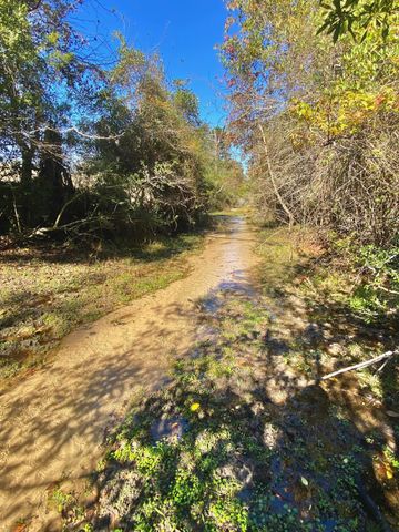485 Private Road 6142, Grapeland, TX 75844