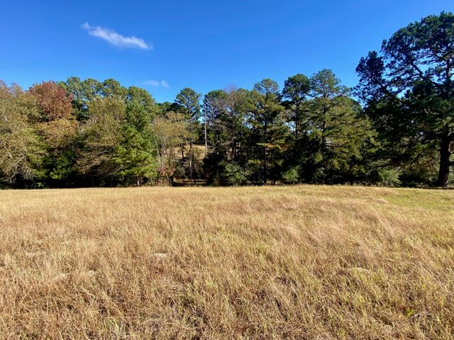 485 Private Road 6142, Grapeland, TX 75844