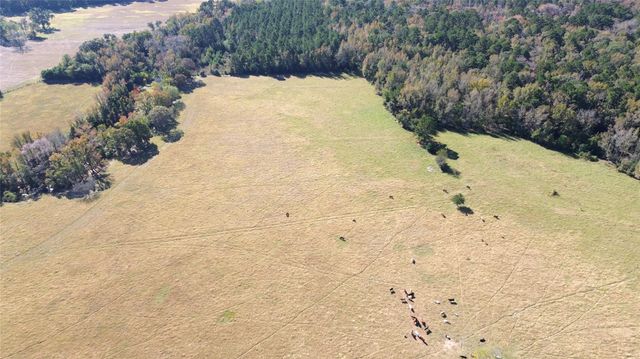 485 Private Road 6142, Grapeland, TX 75844