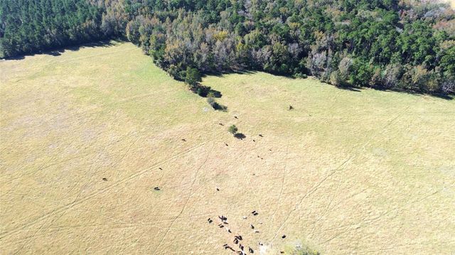 485 Private Road 6142, Grapeland, TX 75844