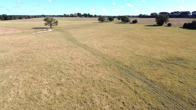 485 Private Road 6142, Grapeland, TX 75844