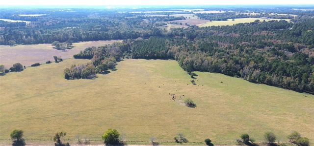 485 Private Road 6142, Grapeland, TX 75844