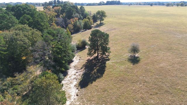 485 Private Road 6142, Grapeland, TX 75844