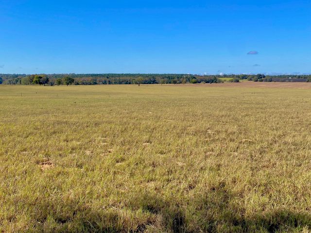 485 Private Road 6142, Grapeland, TX 75844