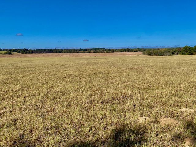485 Private Road 6142, Grapeland, TX 75844