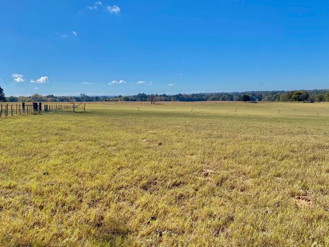 485 Private Road 6142, Grapeland, TX 75844