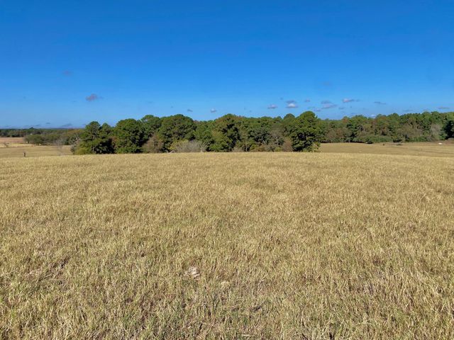 485 Private Road 6142, Grapeland, TX 75844