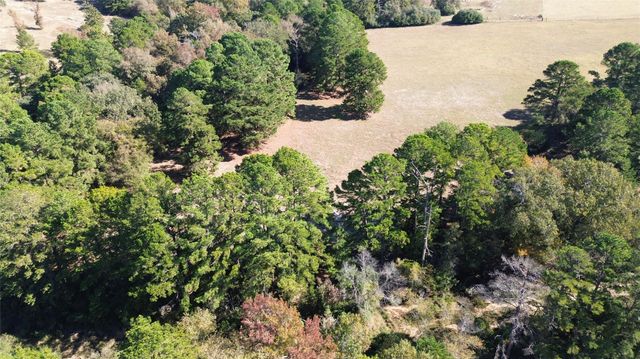 485 Private Road 6142, Grapeland, TX 75844