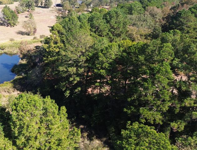 485 Private Road 6142, Grapeland, TX 75844
