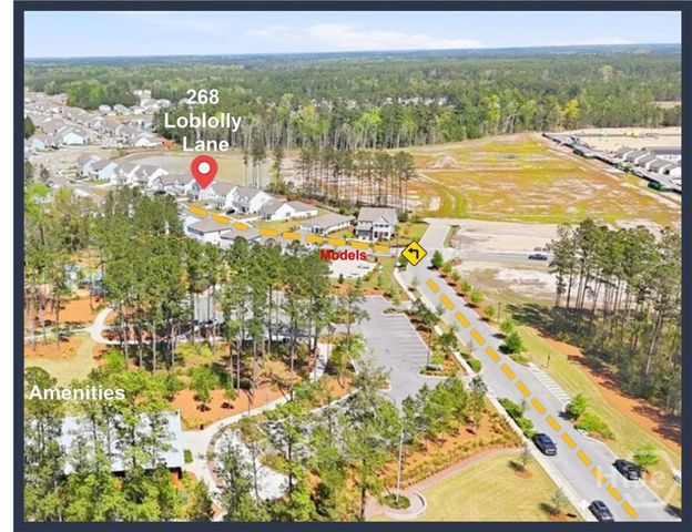 268 Loblolly Lane, Richmond Hill, GA 31324