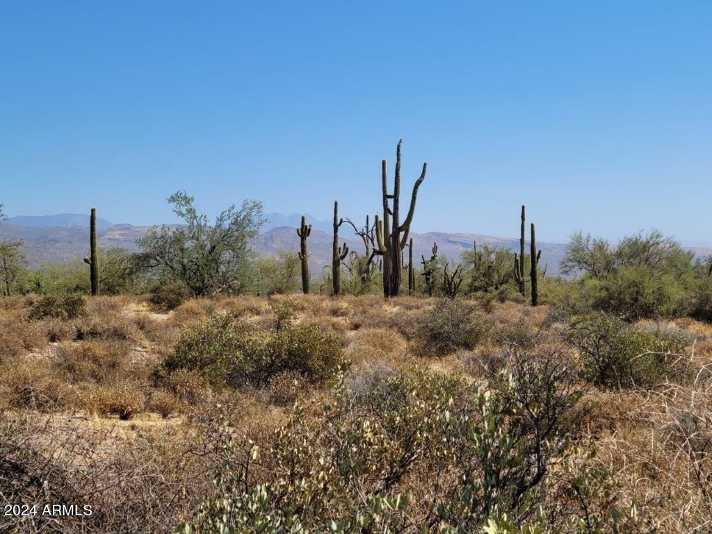 17XXX E Gloria Lane -, Rio Verde, AZ 85263