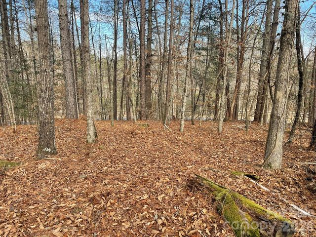 4650 John Berry Road, Valdese, NC 28690