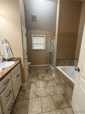 16375 Pottery, Moundville, AL 35474