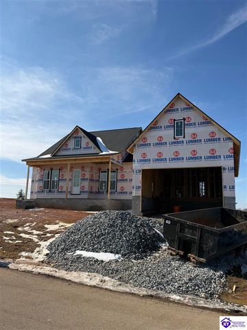 414 Greenhill Street, Vine Grove, KY 40175