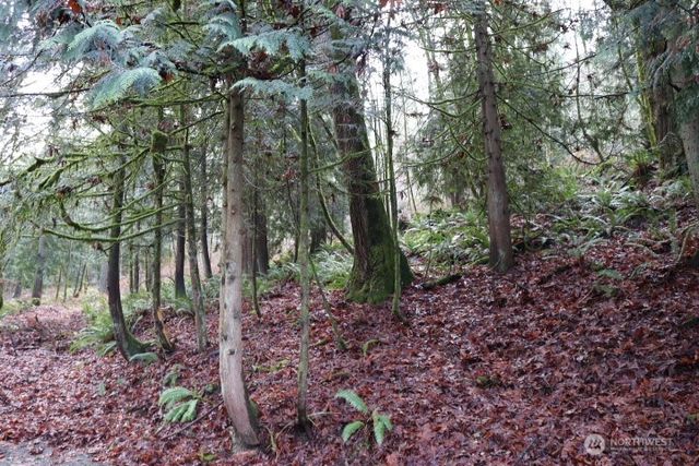 18700 SE 64TH Way, Issaquah, WA 98027