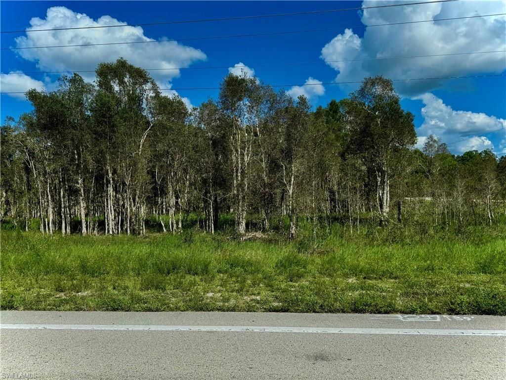 1005/1007 Homestead RD S, LEHIGH ACRES, FL 33974 — exterior