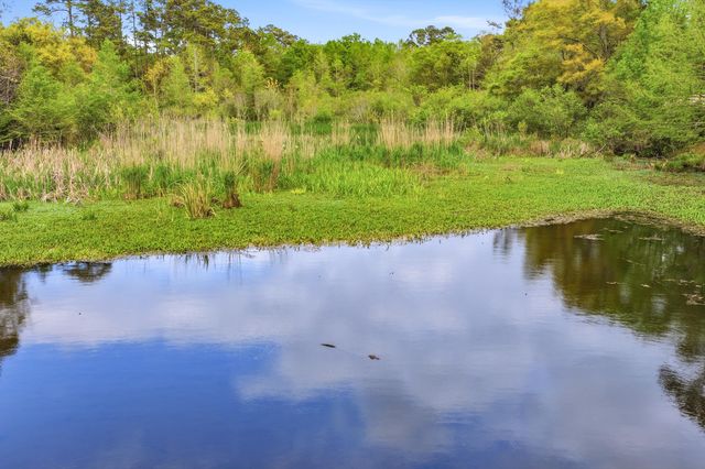 172 Half Moon Trail, Pawleys Island, SC 29585