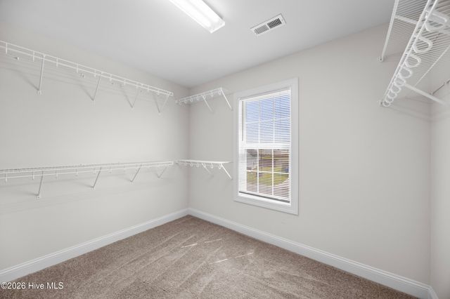 499 Pebble Shore Drive, Sneads Ferry, NC 28460