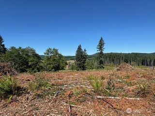 0 Nelson Road, Winlock, WA 98596