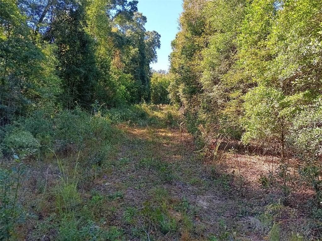 0 Warren Creek Road, Grand Bay, AL 36541 — exterior
