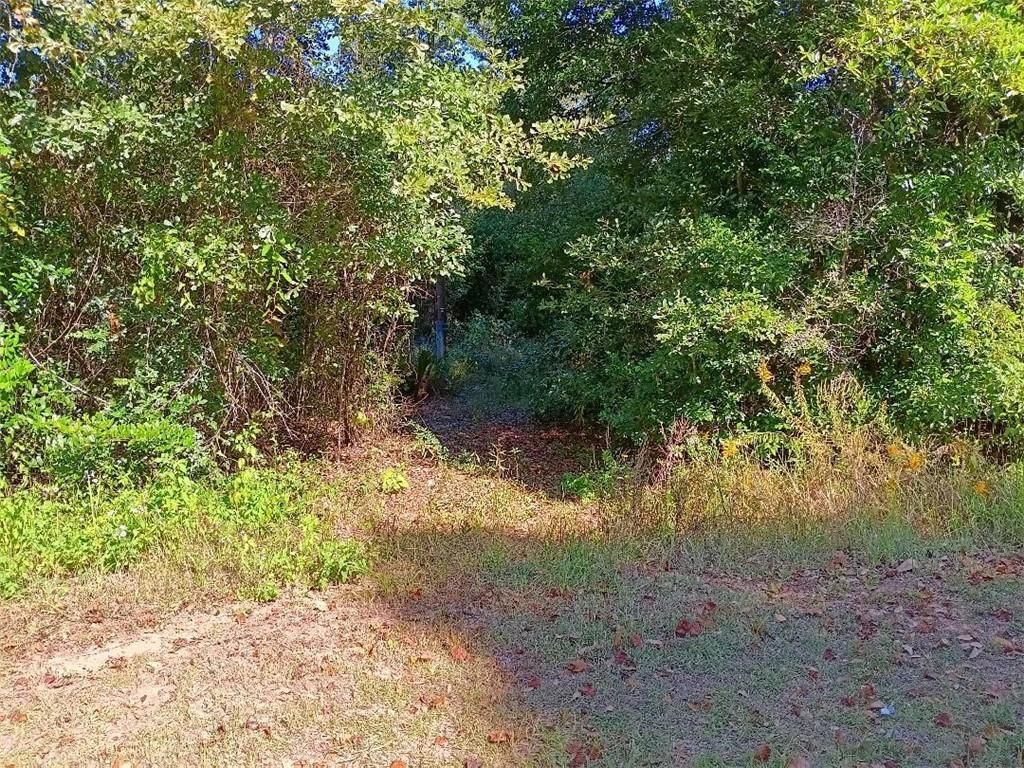 0 Warren Creek Road, Grand Bay, AL 36541 — photo 2