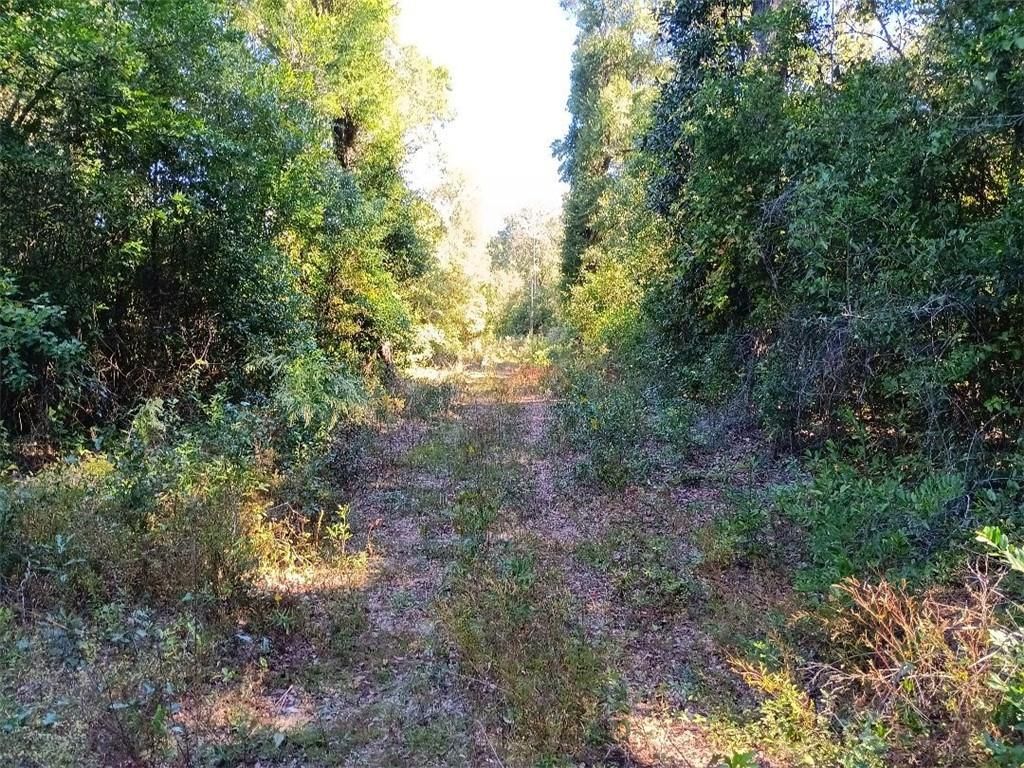 0 Warren Creek Road, Grand Bay, AL 36541 — photo 3