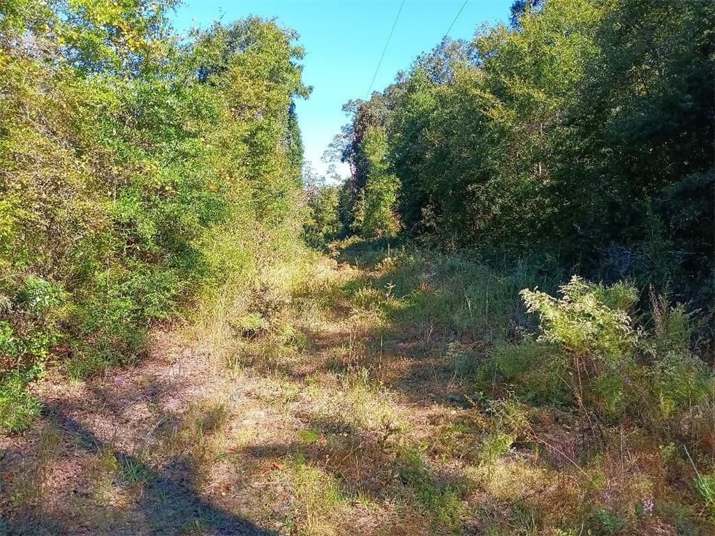 0 Warren Creek Road, Grand Bay, AL 36541 — photo 4