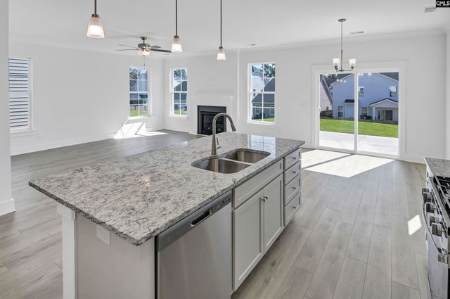 620 Thunder Gulch Avenue, Lexington, SC 29073