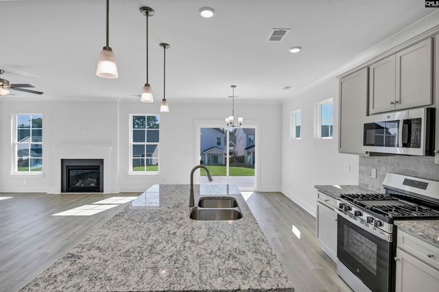 620 Thunder Gulch Avenue, Lexington, SC 29073