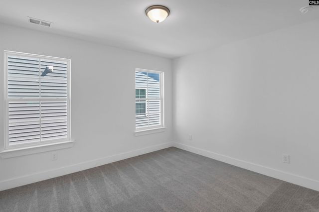 620 Thunder Gulch Avenue, Lexington, SC 29073